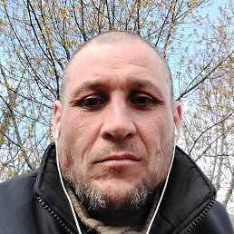 ����, �����������, 37 ���