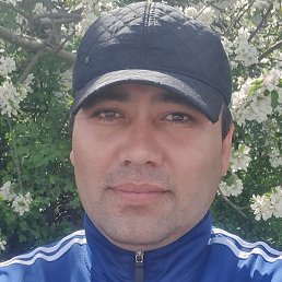 ������, ��������, 43 ����