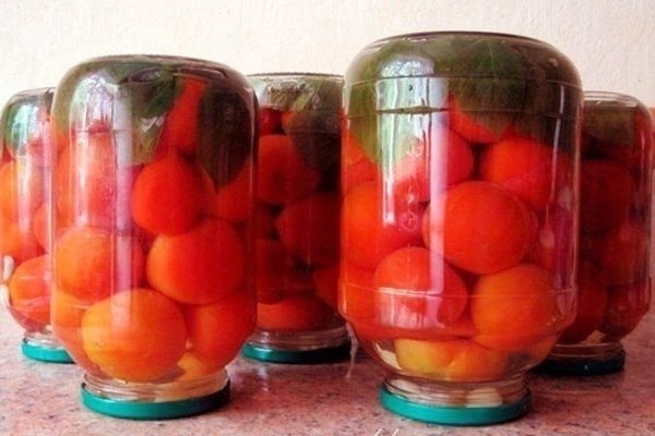 #Помидоры с малиновыми листьями.Помидоры получаются очень вкусными и хорошо держат свою форму. ...