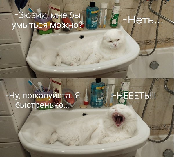      - 24  2023  09:49