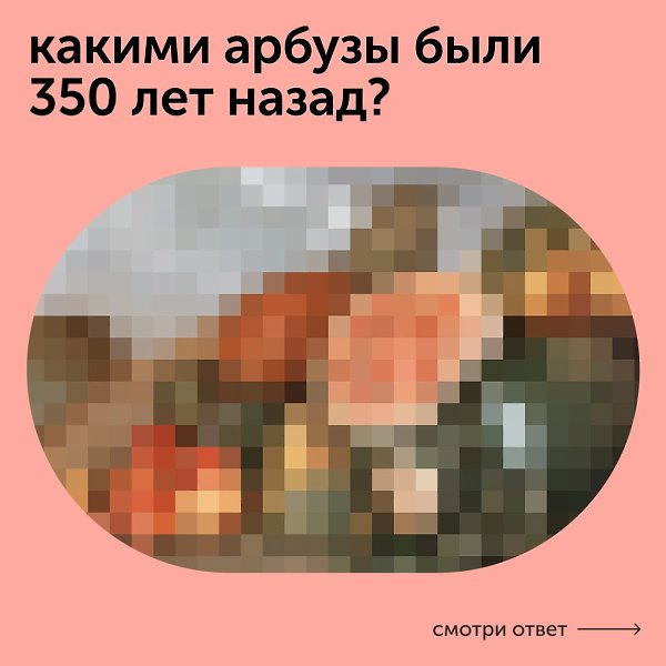 Какими арбузы были 350 лет назад? Спойлер: маленькими и почти белыми внутри! Рассказываем сегодня ...