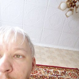 ������, �����-���������, 41 ���