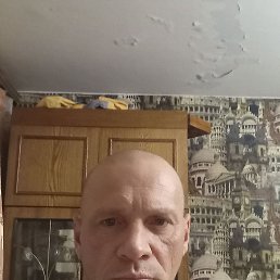 ���� �����, ���������, 48 ��� - ��������� 17 ������� 2023