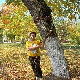 ���������, �������, 60 ���