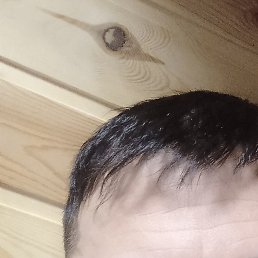 ., , 41 