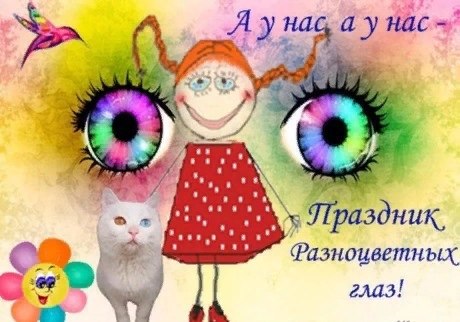 12  -   )