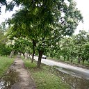 ���� ������, ����������� - ��������� 15 ������ 2023 � ������ ���� ����������