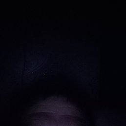 �����, ���������, 38 ���