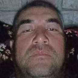 �����, �����-���������, 40 ���