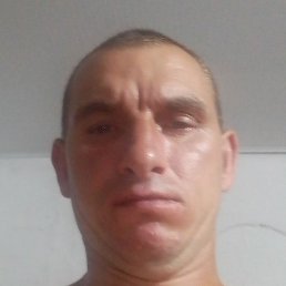 �������, �����, 40 ���