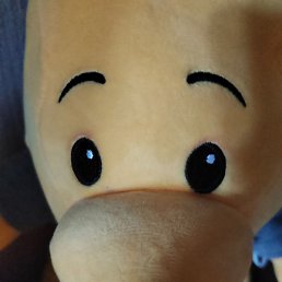 �����, ������, 49 ���