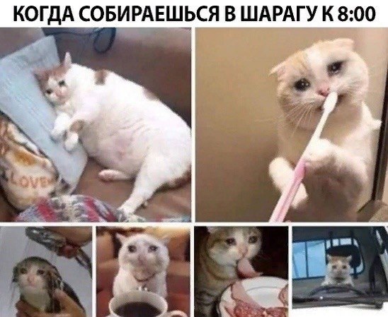    - 26  2023  21:31