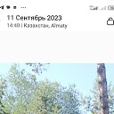 ���� �������, ������, 55 ��� - ��������� 6 ������� 2023