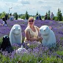 ���� ������, ����, 59 ��� - ��������� 5 ������� 2023 � ������ ���� ����������