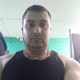 �������, ���������, 40 ���