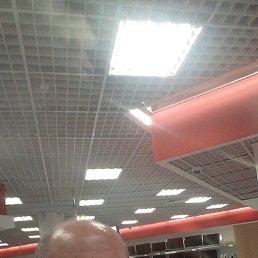 ����, �������, 53 ����