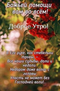 ***Victoria Viktorovna*** - 12  2023  04:26