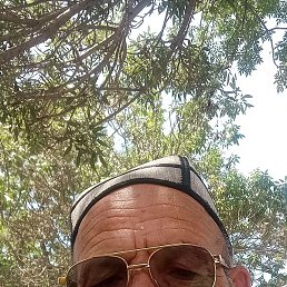 ���������, �����, 37 ���