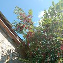���� ����, ���� - ��������� 23 ������� 2023 � ������ ���� ����������