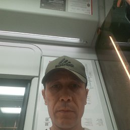 �����, ������, 48 ���