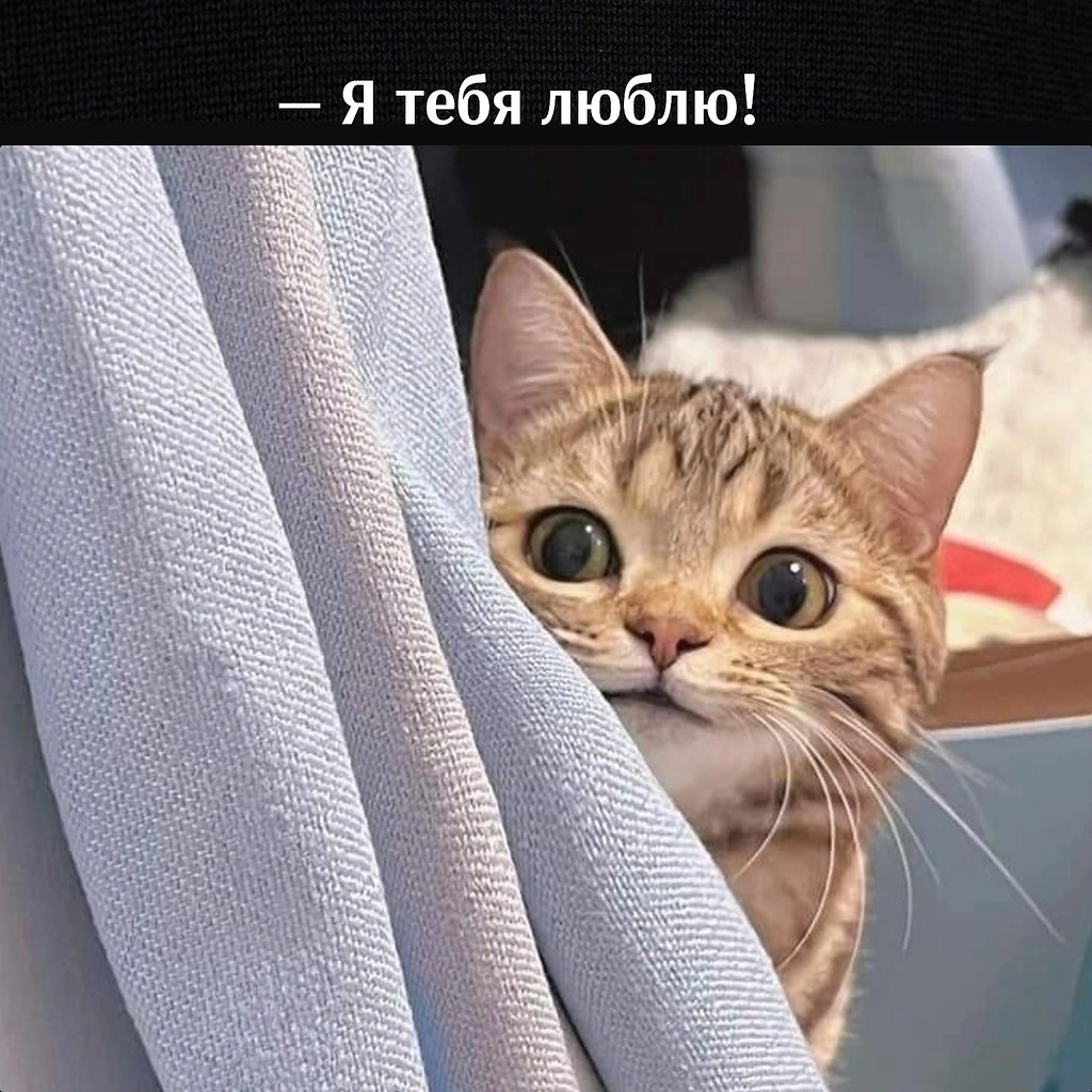       - 11  2023  17:07