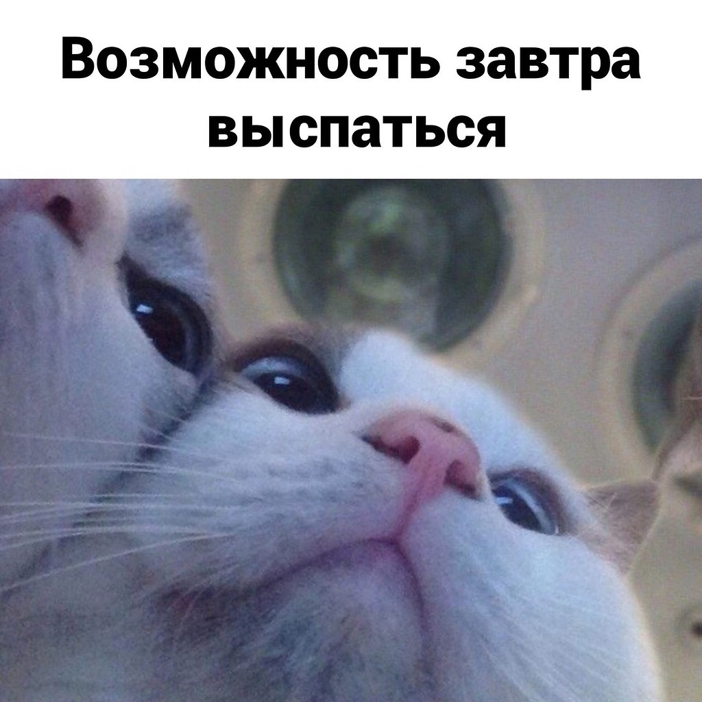    - 3