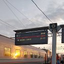  , , 49  -  17  2023    