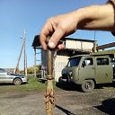 ���� ���������, �������, 50 ��� - ��������� 17 ������� 2023 � ������ ���� �������