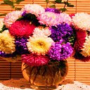 ���� ����, ������, 75 ��� - ��������� 8 ���� 2023 � ������ ���� ����������