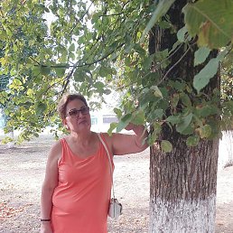 �������, ���������, 58 ���