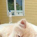 ���� ����, ������, 73 ���� - ��������� 6 �������� 2023