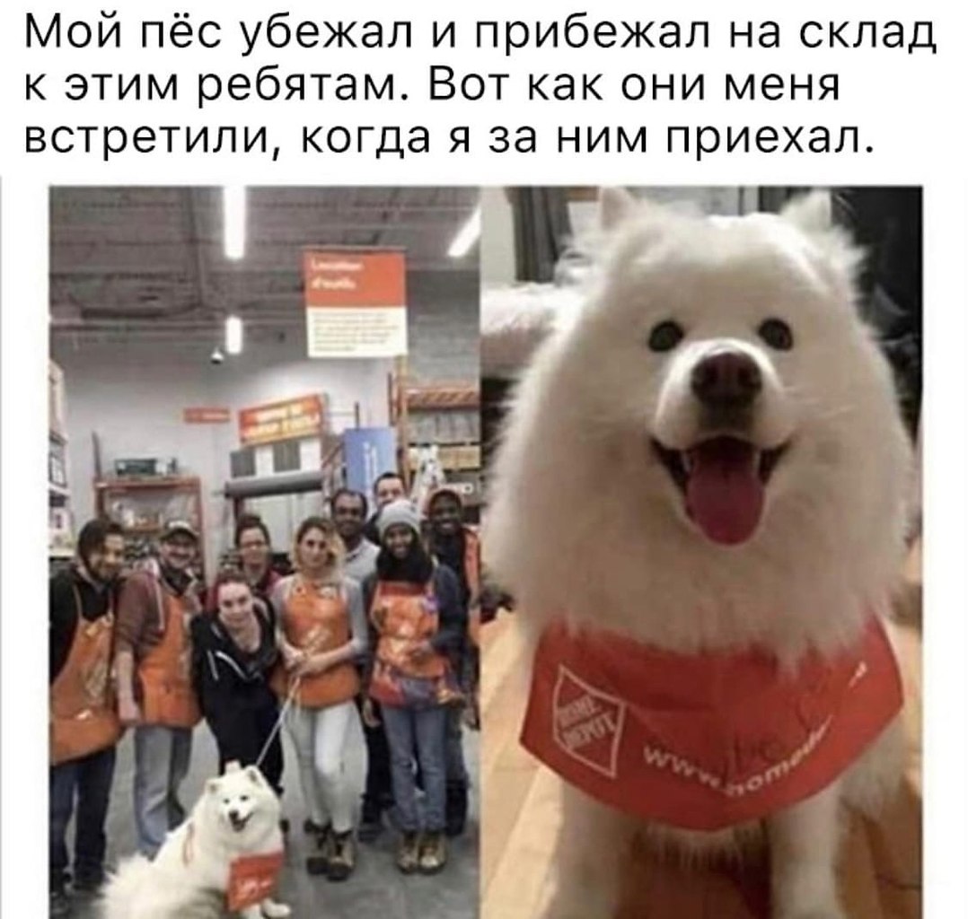   !