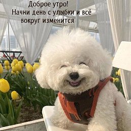 �������, �����, 45 ���