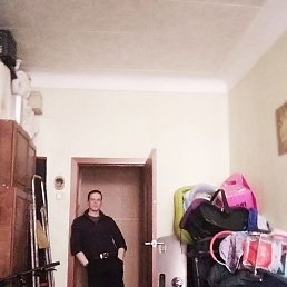 �����, �����-���������, 37 ���