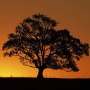 ���� �������, ��������, 53 ���� - ��������� 25 ���� 2023