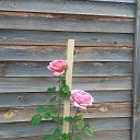 ���� �������, ������-����������, 58 ��� - ��������� 4 �������� 2023 � ������ ���� ����������