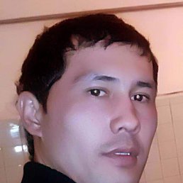 ���� �����, �����������, 41 ��� - ��������� 24 ����� 2023