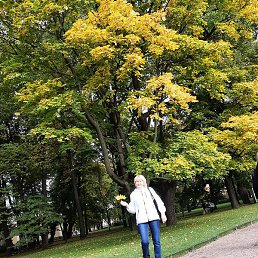 ���������, �����, 59 ���