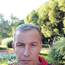 ���� �����, ������, 54 ���� - ��������� 12 ��� 2023