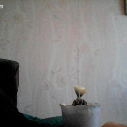���� ������, ��������, 60 ��� - ��������� 21 ��� 2023
