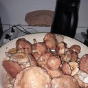 ���� �����, �����-���������, 66 ��� - ��������� 1 �������� 2023