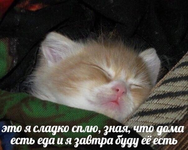    - 10  2023  13:40