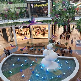 ������, ������, 48 ���