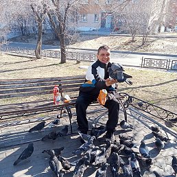 ����, �����, 36 ���