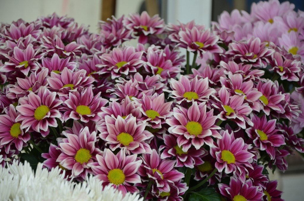 ������ ������� - 23 ������ 2023 � 01:25