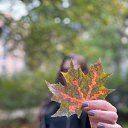 ���� ����, �����-��������� - ��������� 14 ������� 2023 � ������ ������ ��������