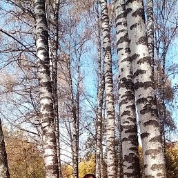 ��������, ������, 48 ���