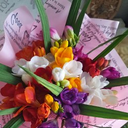 ���� ����, �����������, 47 ��� - ��������� 31 ����� 2023