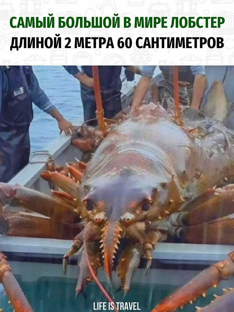   .     ,     !    ...