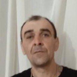 ������, �������, 51 ���